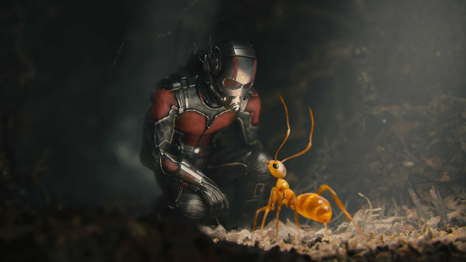 Ant man  :- (Credit - Marvel Studios)