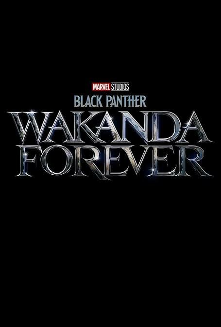 Black Panther Wakanda Forever :- ( Credit - Marvel Studios)