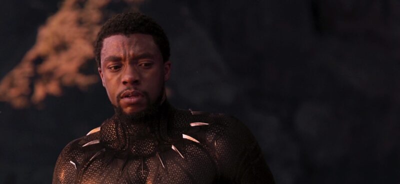 Black Panther Cast, Box Office, Budget, Director, Villain, Plot, Comics, DVD Release date (Credit - Marvel Studios)