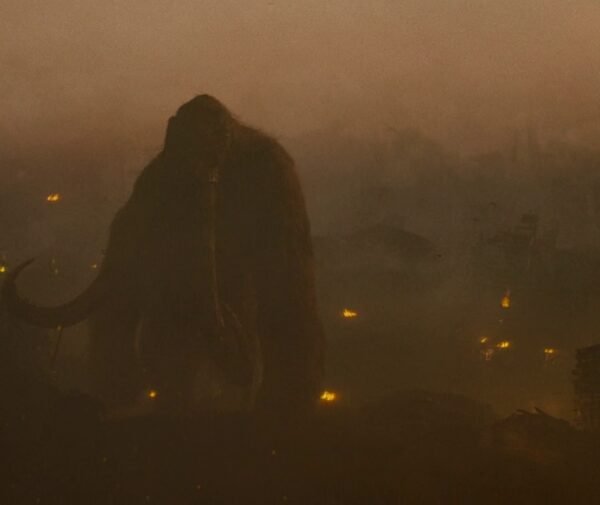 How Tall Is Godzilla, Kong, Mothra, Rodan, Skullcrawlers, Ghidorah, Muto Prime and Behemoth :- (Credit - Legendary Pictures, Warner Bros. Pictures)