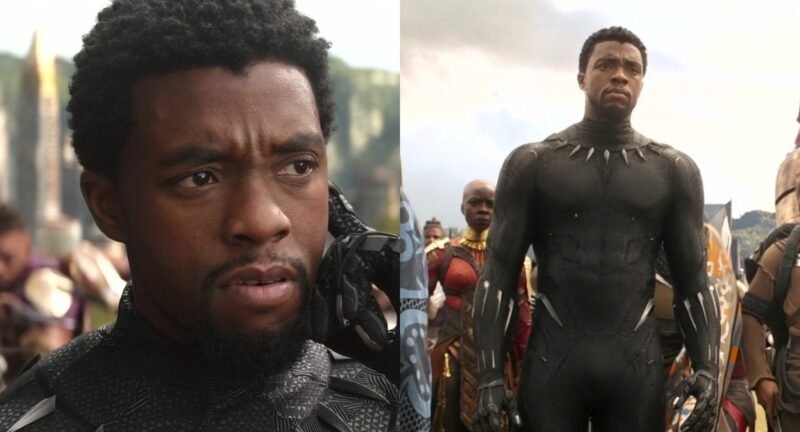 How Black Panther died in Marvel? (Credit - Marvel Studios)