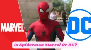 Read more about the article Is Spiderman Marvel Or DC?